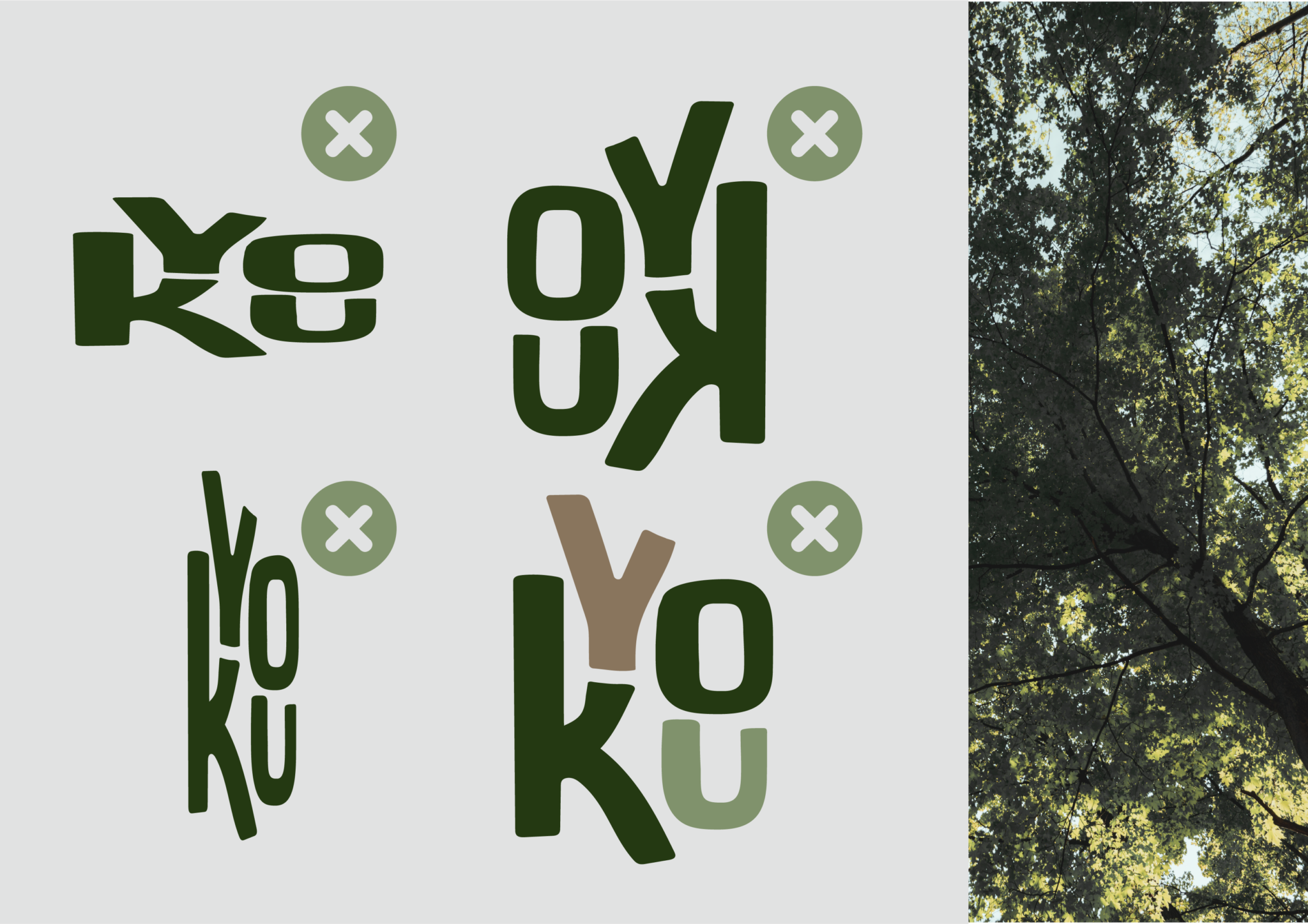 Yokubranding-05